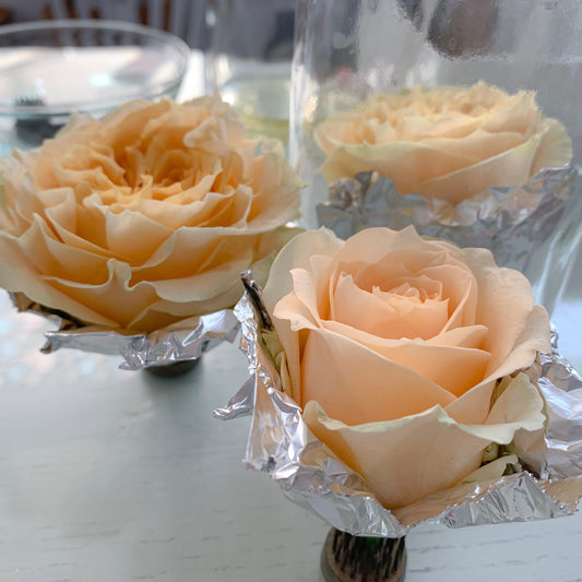 What is preserved flowers 關於保鮮花