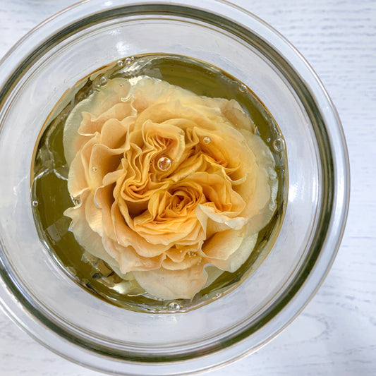 Care tips for preserved flowers 保鮮花保養