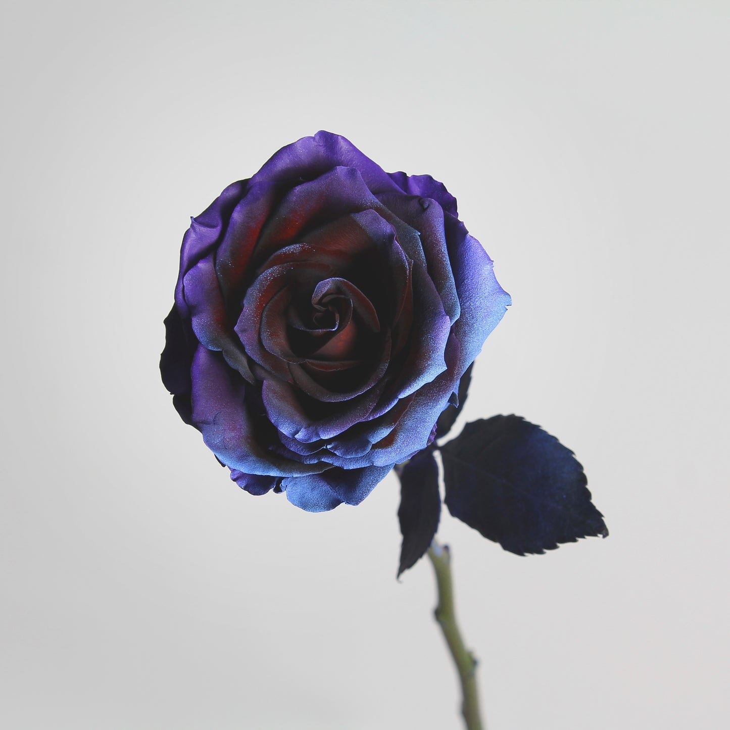 Cosmic Blue