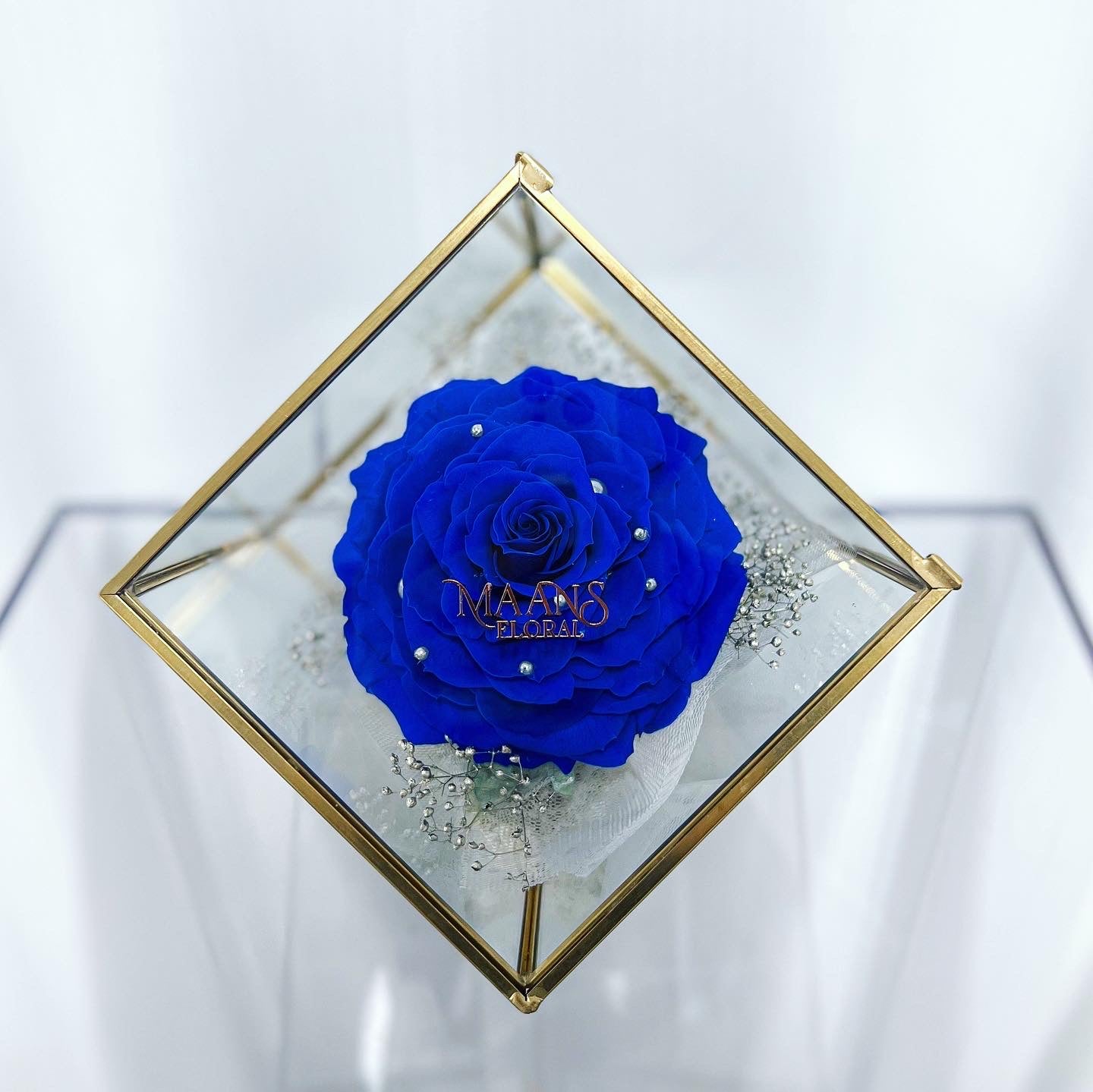保鮮花_Melia Glass