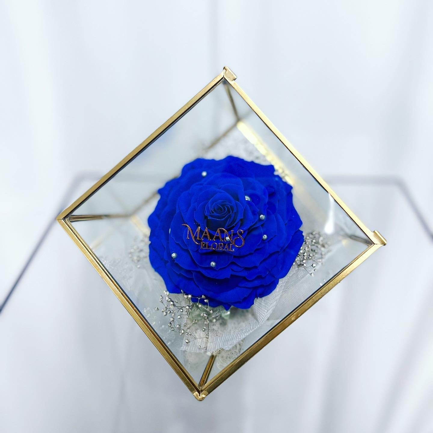 保鮮花_Melia Glass