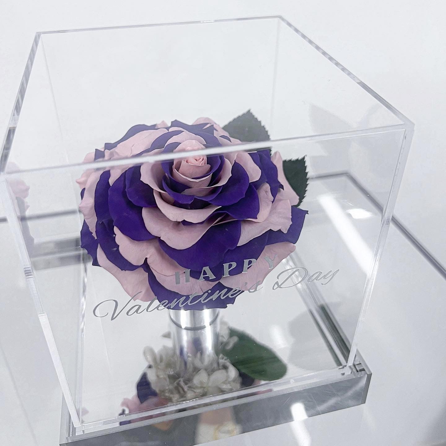 雙色玫瑰鏡盒-Mirror Rose