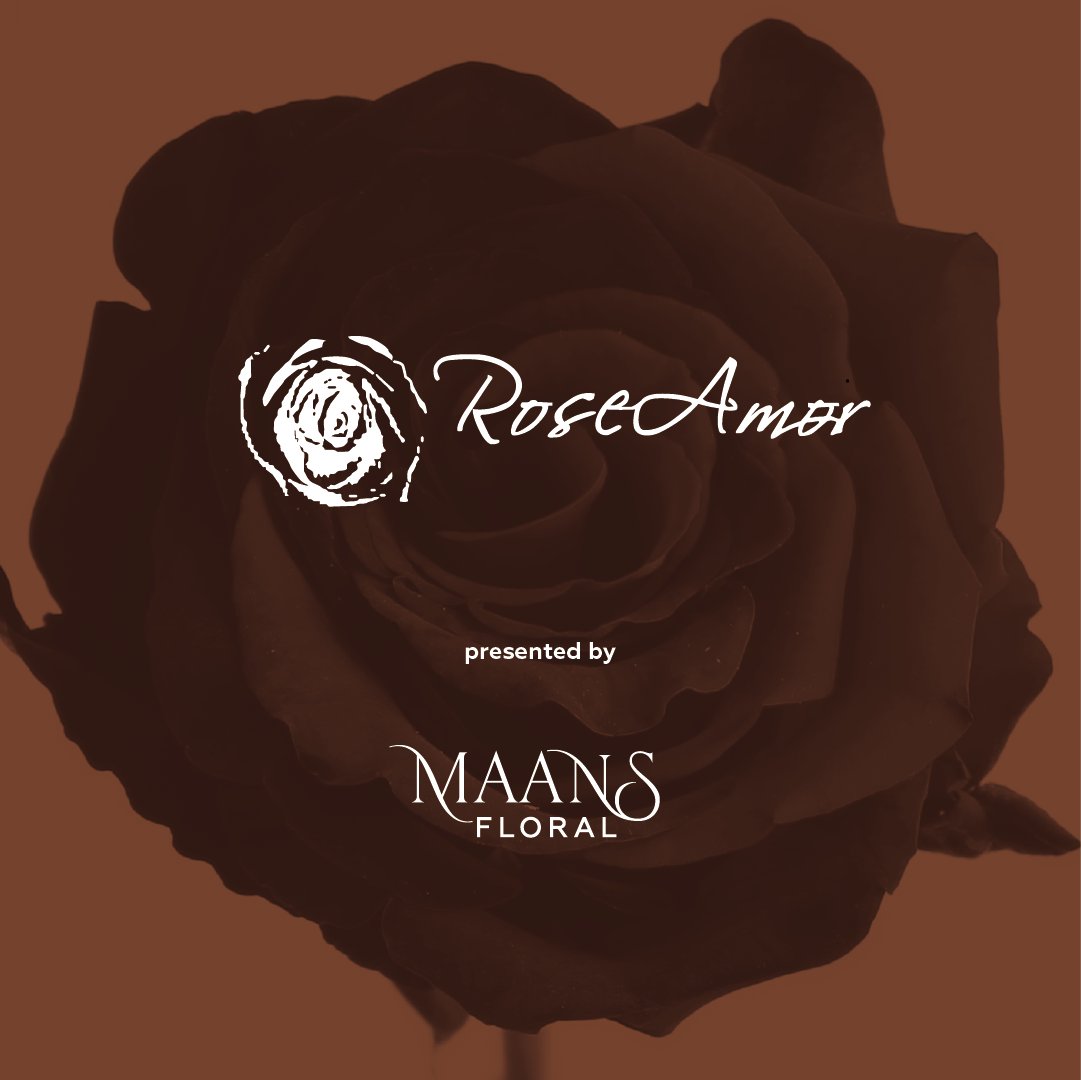 RoseAmor 厄瓜多爾保鮮玫瑰花材批發