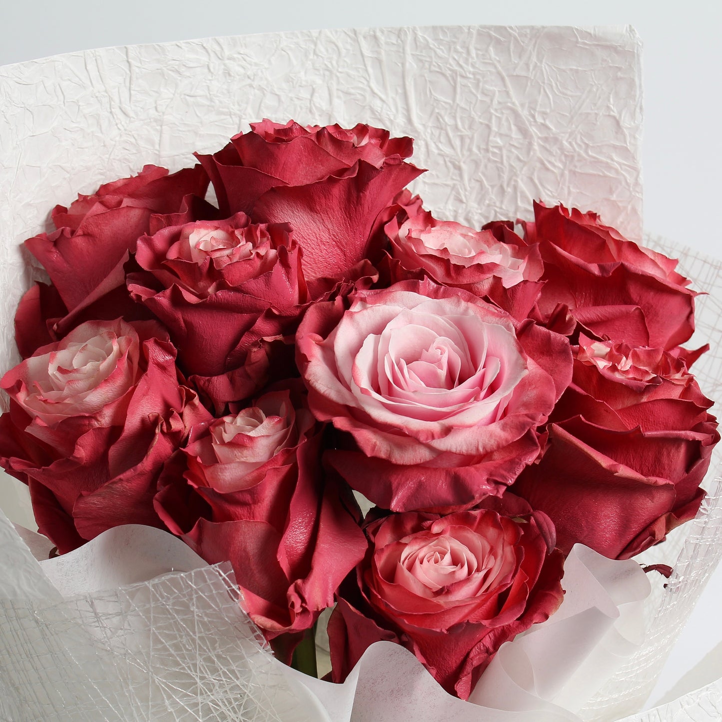Mauve Roses