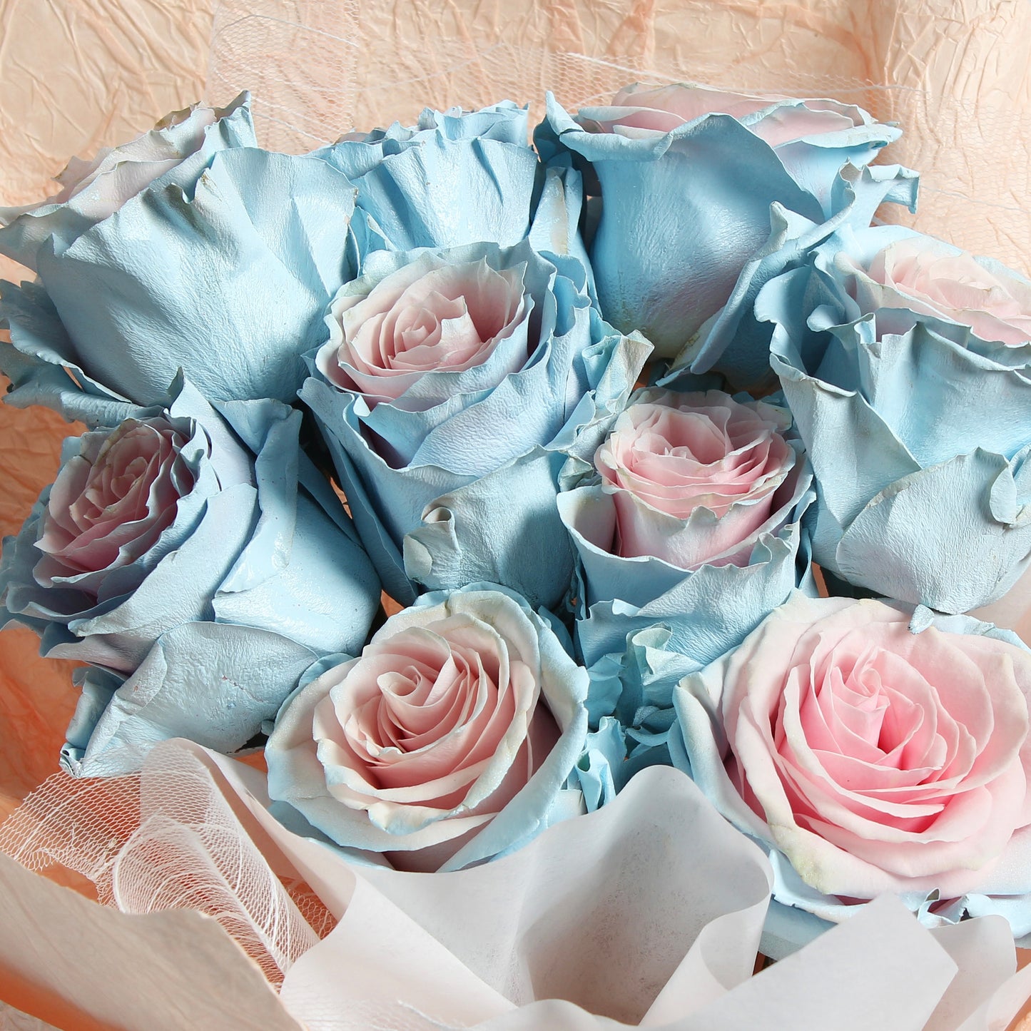 Sweet Baby Blue
