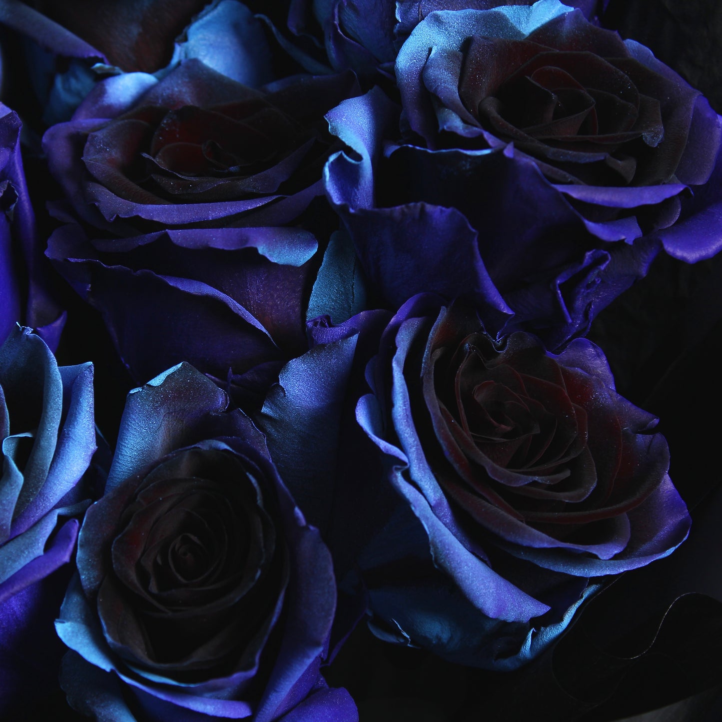 Cosmic Blue