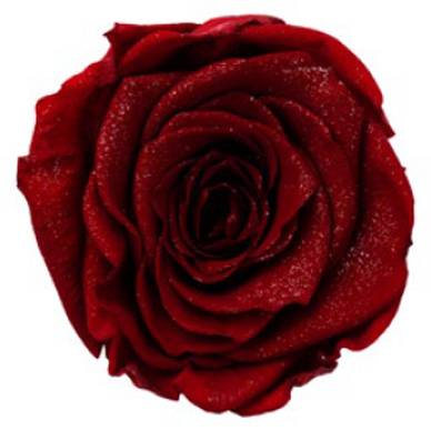 RoseAmor - Zebra effect, Glitter & Diamond dust rose