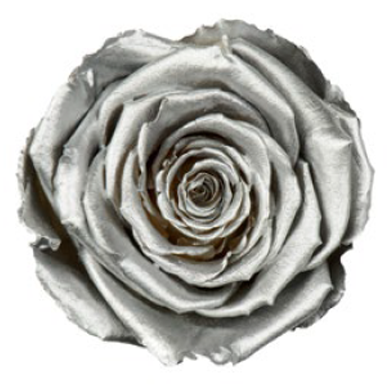 RoseAmor - Metallics 金屬玫瑰
