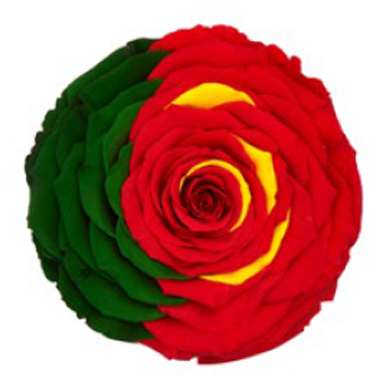 RoseAmor - FLAG 國旗玫瑰