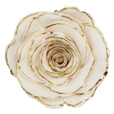 RoseAmor - Zebra effect, Glitter & Diamond dust rose