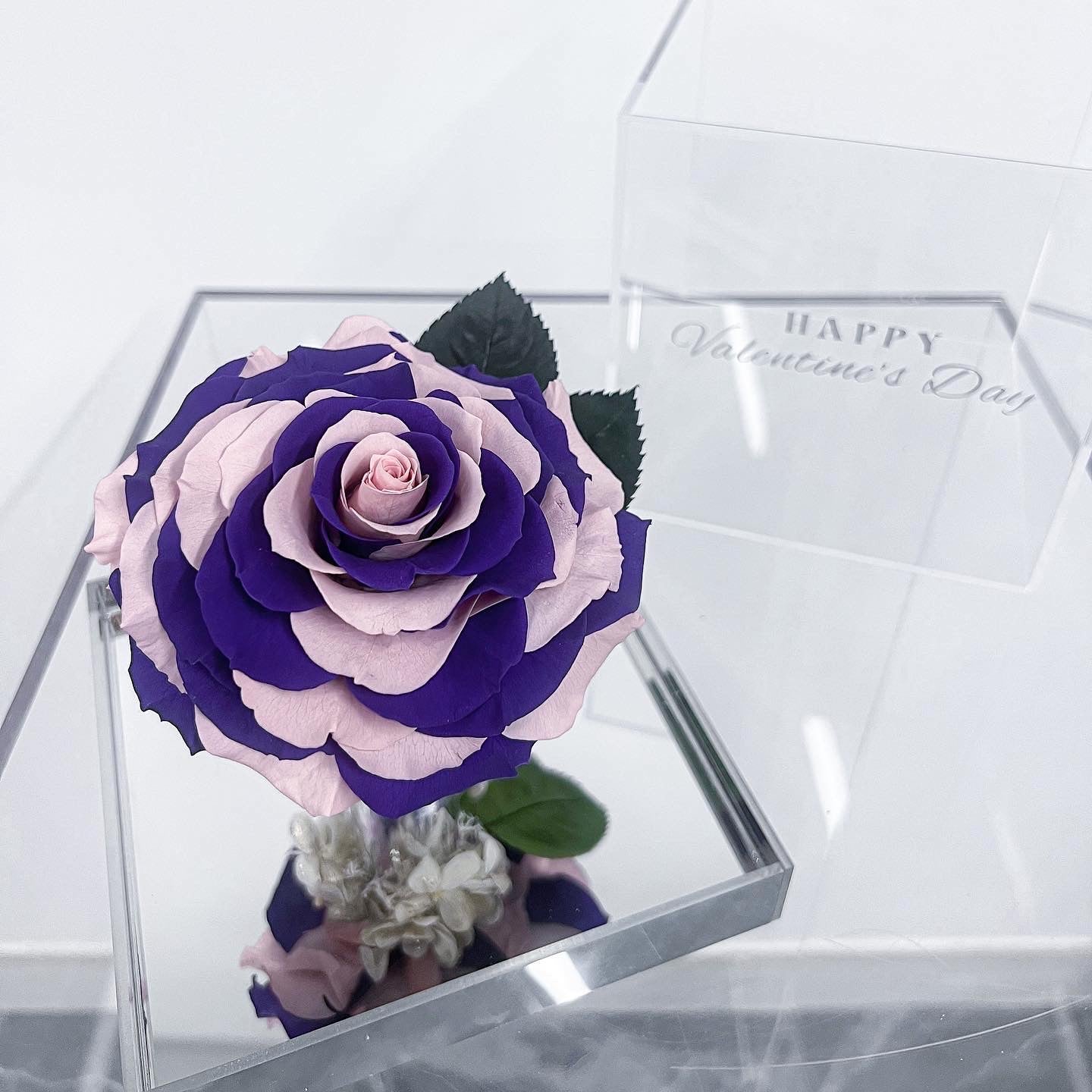 雙色玫瑰鏡盒-Mirror Rose
