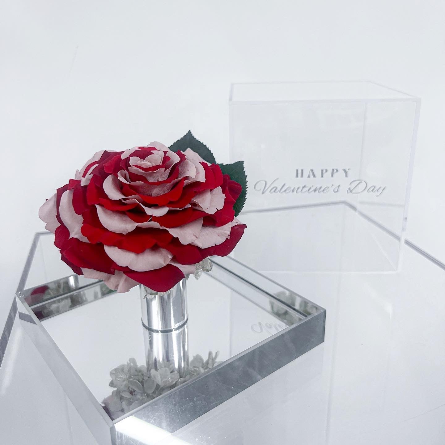 雙色玫瑰鏡盒-Mirror Rose
